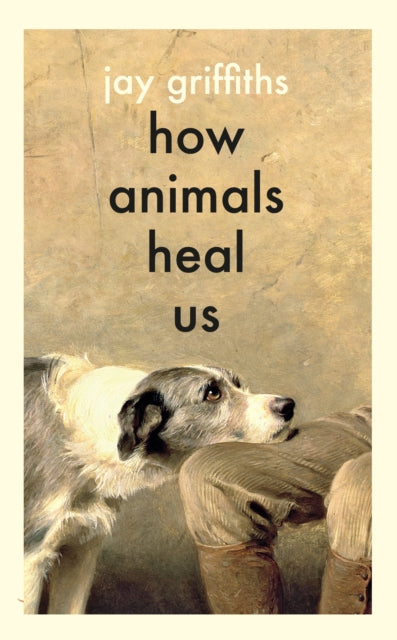 How Animals Heal Us-9780241614358