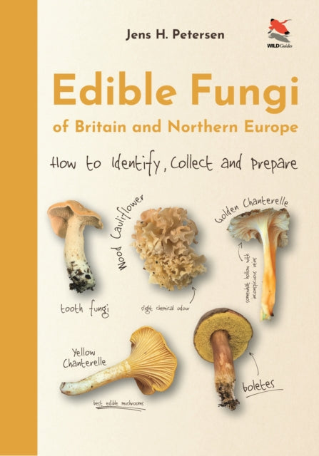 Edible Fungi of Britain and Northern Europe : How to Identify, Collect and Prepare-9780691245195