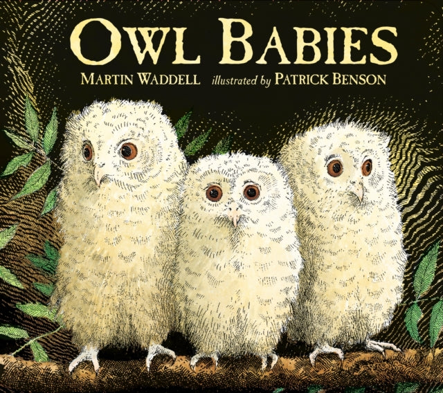 Owl Babies : Over two million copies sold - a heartwarming bedtime picture book story that comforts and reassures - also the perfect gift for birthdays, new parents and baby showers-9781406374377