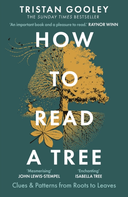 How to Read a Tree : A must-have for all nature lovers - perfect reading for your autumn adventures-9781529339628