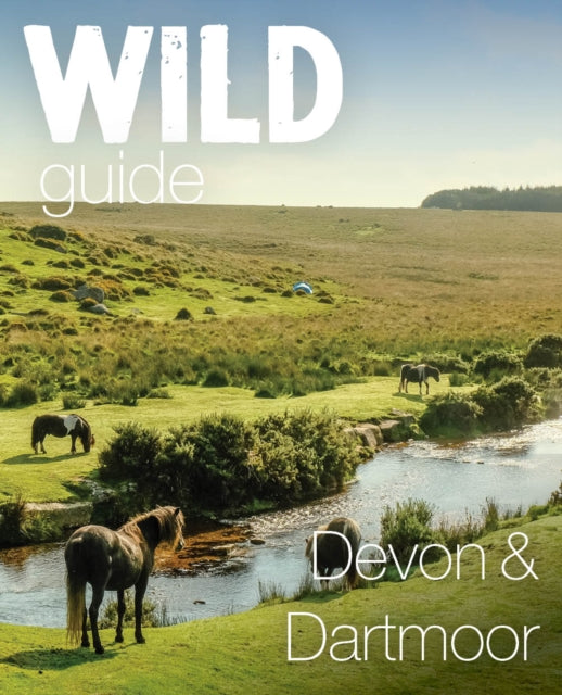 Wild Guide Devon & Dartmoor : Mini adventures, secret places & local food-9781910636770