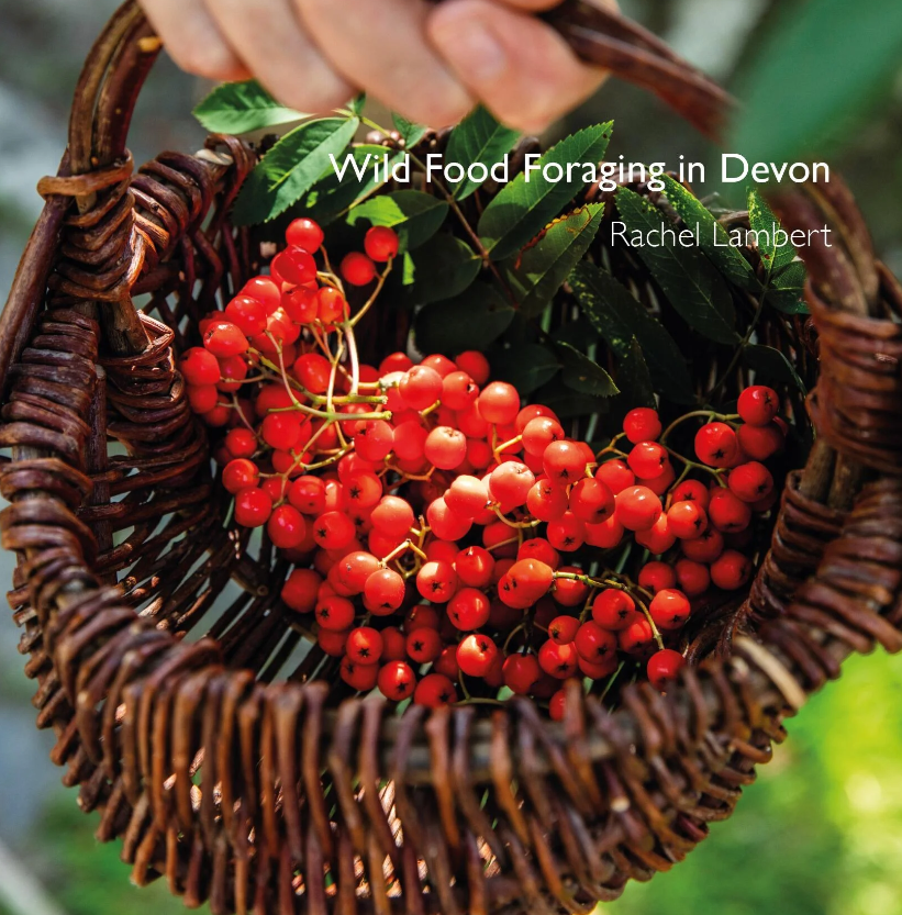 Wild Food Foraging in Devon
