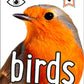 i-SPY Birds : Spy it! Score it!-9780008386450