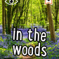 i-SPY in the Woods : Spy it! Score it!-9780008529857