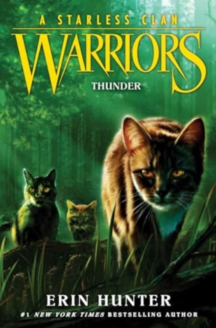 Warriors: A Starless Clan #4: Thunder-9780063050297