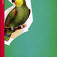 Flaubert's Parrot-9780099540588