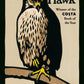 H is for Hawk-9780099575450