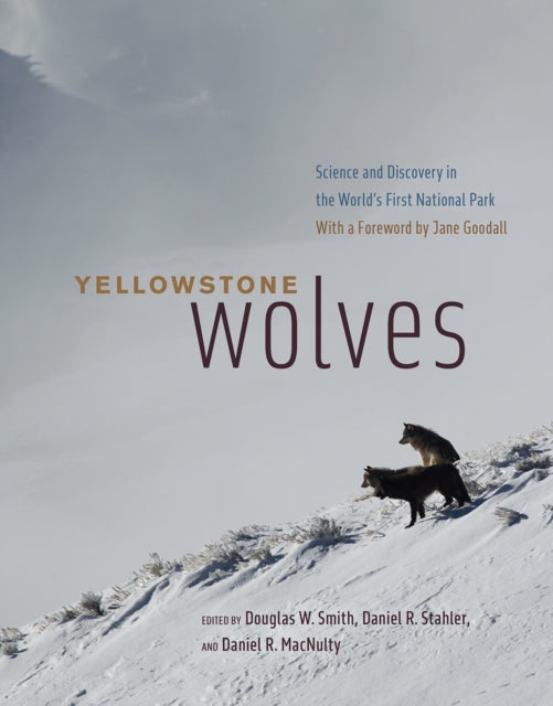 Yellowstone Wolves : Science and Discovery in the World's First National Park-9780226728346