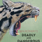Ben Rothery's Deadly and Dangerous Animals-9780241532263
