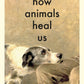 How Animals Heal Us-9780241997918