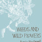 Weeds and Wild Flowers-9780571237494