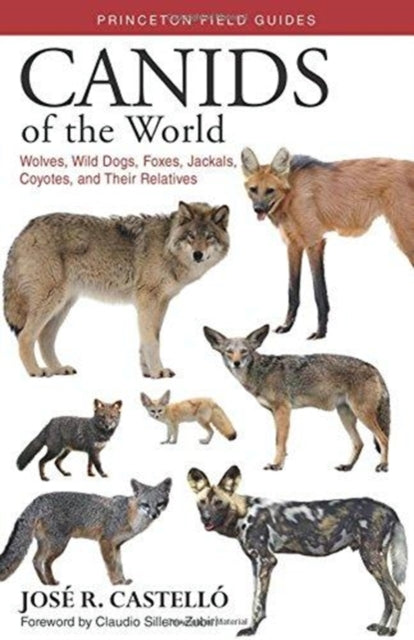 Canids of the World : Wolves, Wild Dogs, Foxes, Jackals, Coyotes, and Their Relatives-9780691176857