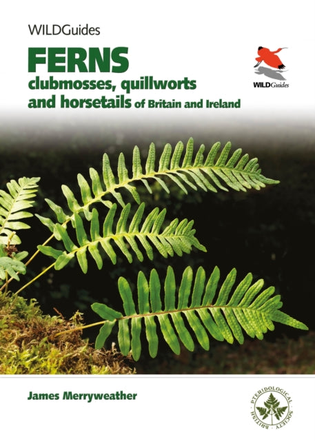 Ferns : Clubmosses, Quillworts and Horsetails of Britain and Ireland-9780691180397