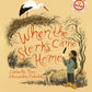 When The Storks Came Home : Volume 2-9780711272774