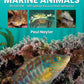 Great British Marine Animals-9780952283171