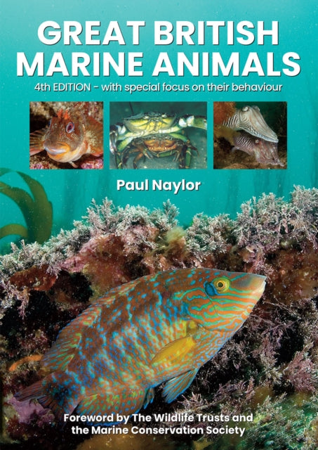 Great British Marine Animals-9780952283171