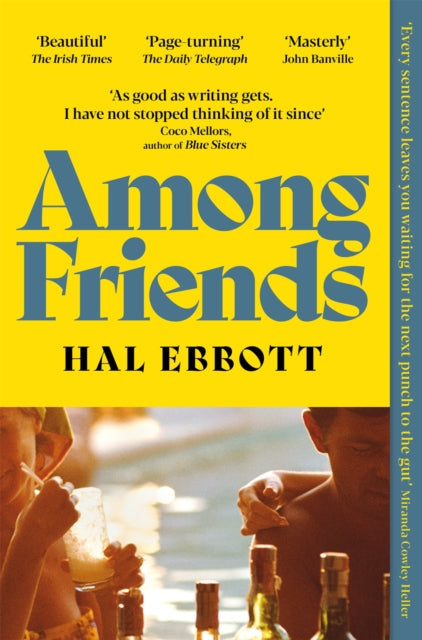 Among Friends-9781035055456