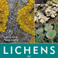 Lichens of Britain and Ireland : An Introductory Guide-9781399404747
