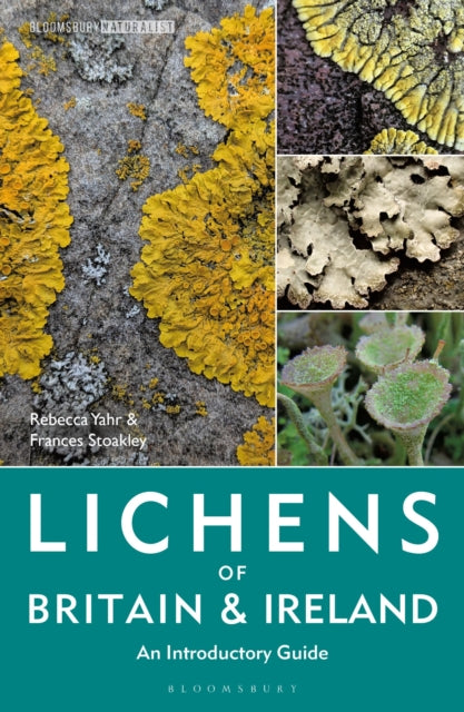 Lichens of Britain and Ireland : An Introductory Guide-9781399404747