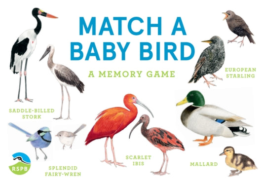 Match a Baby Bird Memory Game-9781399608541