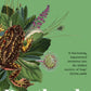Peatlands : A Journey Between Land and Water-9781399727563