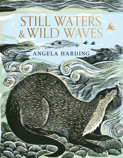 Still Waters & Wild Waves : The beautiful new book from printmaker and illustrator Angela Harding-9781408726815