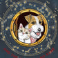 Bosun Bob And The Cat With No Name-9781738510610