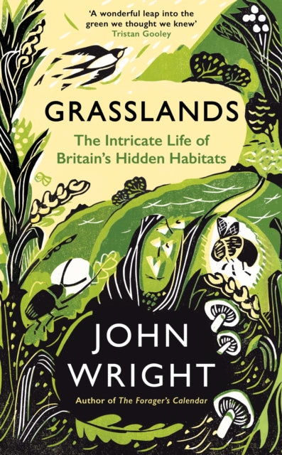 Grasslands : The Intricate Life of Britain's Hidden Habitats-9781781258101