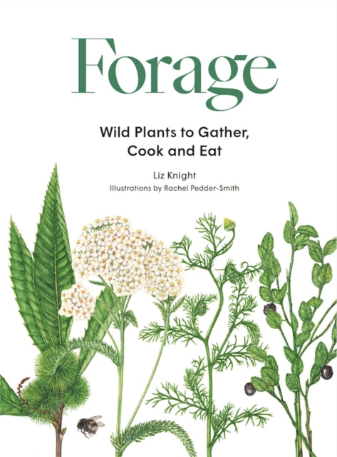 Forage : Wild plants to gather and eat-9781786277350