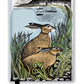 Angela Harding: Rathlin Hares (Foiled Journal)-9781787555709