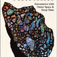 The Meteorites : Encounters with Outer Space and Deep Time-9781800815346