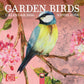 Sophie Adde: Garden Birds Mini Wall Calendar 2026 (Art Calendar)-9781835624197