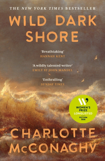 Wild Dark Shore-9781837265923