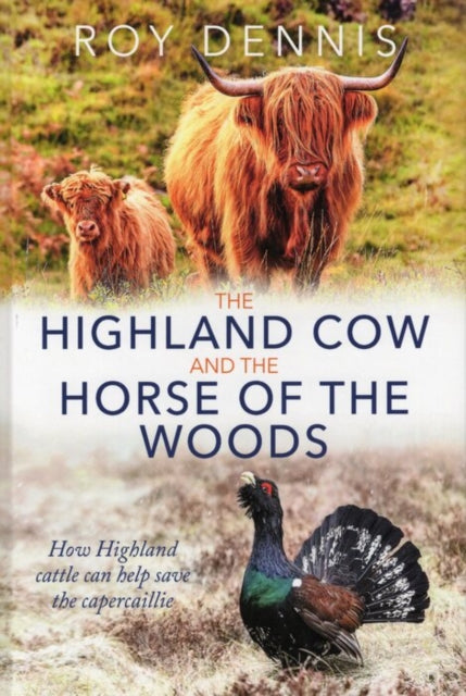 Highland Cow & the Horse of the Woods : How Highland cattle can help save the capercaillie-9781849956086