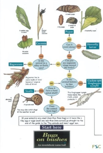 Bugs on Bushes : Occasional Publication 77-9781851538874