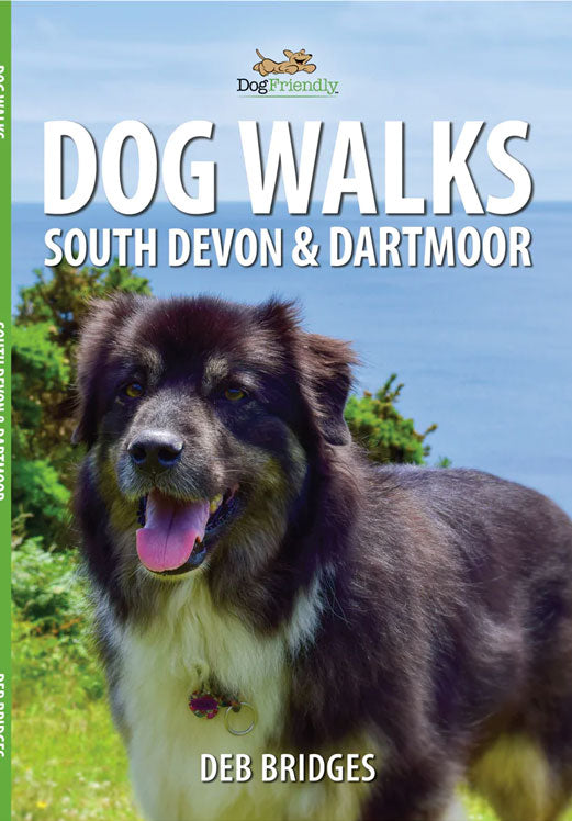 Dog Walks: South Devon and Dartmoor